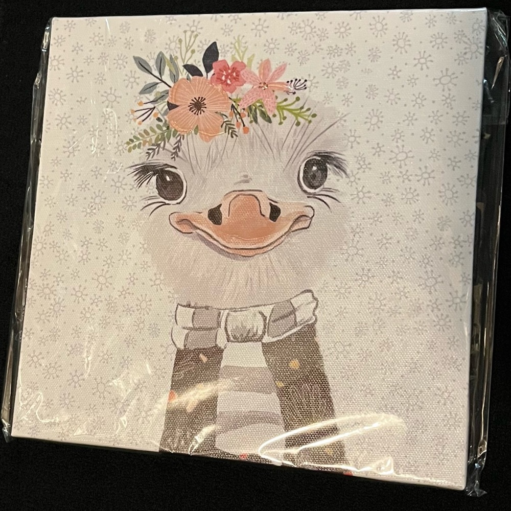 8 x 8 Canvas picture - Ostrich w/ floral headband and clothes  
New in packaging
